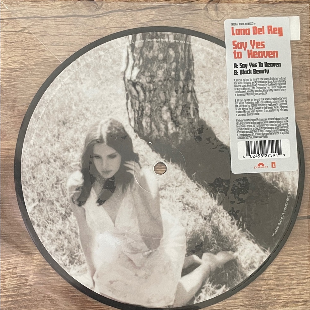 Lana Del Rey Picture Vinyl